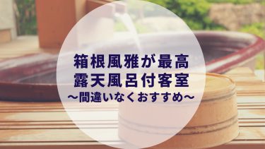 【2021年】箱根風雅にカップルで露天風呂付客室に行ってきた宿泊記。ブログで徹底レビューします。
