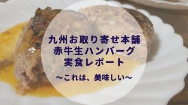 熊本 赤牛ハンバーグが食べたい！販売店は？九州お取り寄せ本舗で通販できます〜実食レポート〜